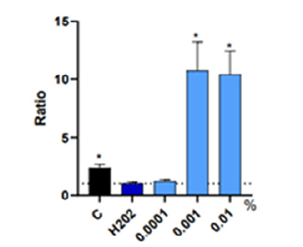 VEGF（血管内皮増殖因子）